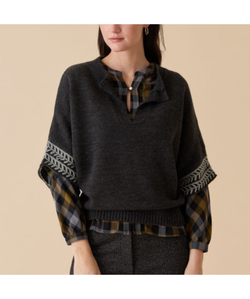 Poncho Diplodocus